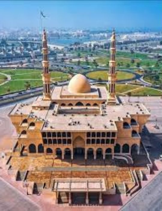 Untitled design (19)