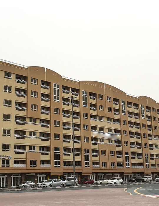 Untitled design (25)