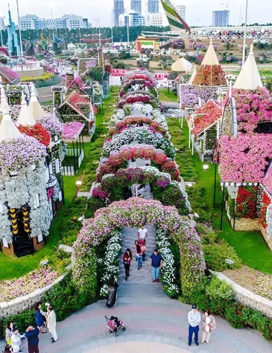 Untitled design (30)