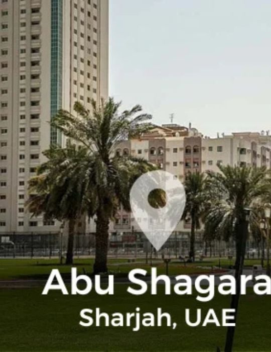 Untitled design (37)